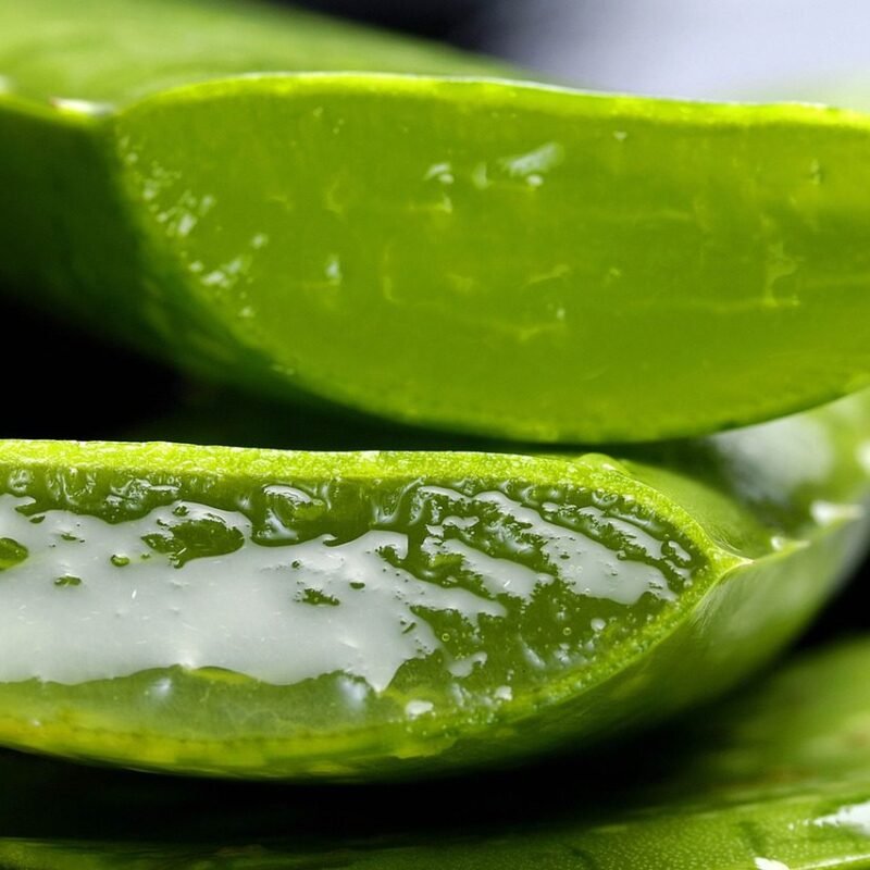 ALOE VERA, SECRETOS Y BENEFICIOS PARA LA SALUD