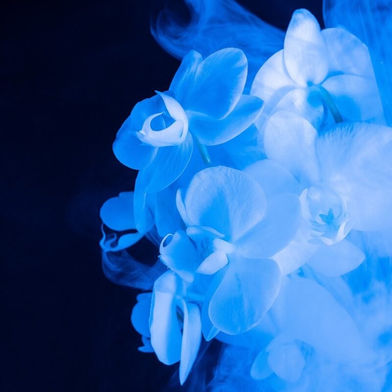 Imagen relacionada con 888Hz 88Hz 8Hz Pirámide de Abundancia, Éxito y Prosperidad, Liberación de Endorfinas, Meditación