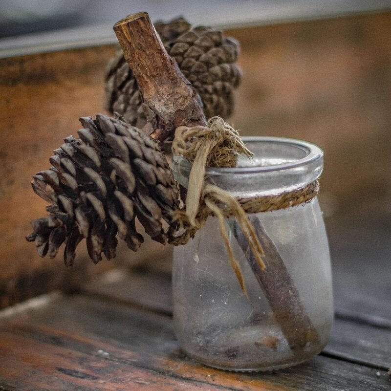 Imagen relacionada con Activación y descalcificación de la glándula pineal