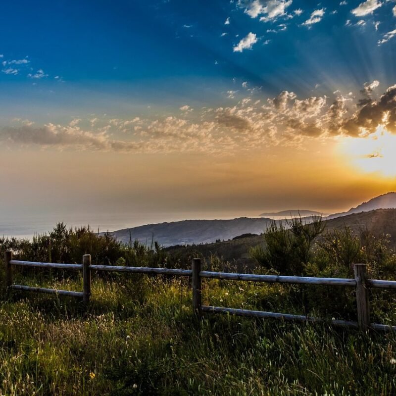 Imagen relacionada con Ecoterapia y conexión con la naturaleza