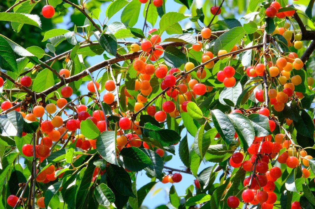 Imagen relacionada con Biokinesis para la abundancia: Ejercicios simples que sí se sienten