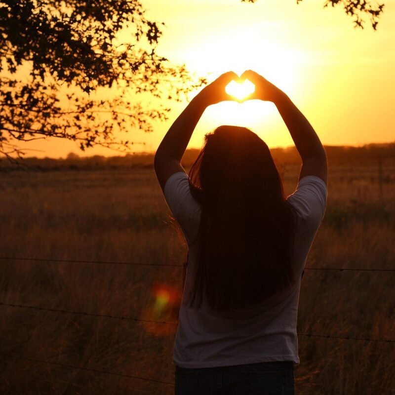 Imagen relacionada con Cómo equilibrar tu sistema inmune con el código sagrado 616 de Agesta, José Gabriel Uribe