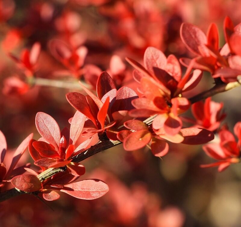 Imagen relacionada con Espiritualidad y Crecimiento Personal: El Viaje de Volver a Vos