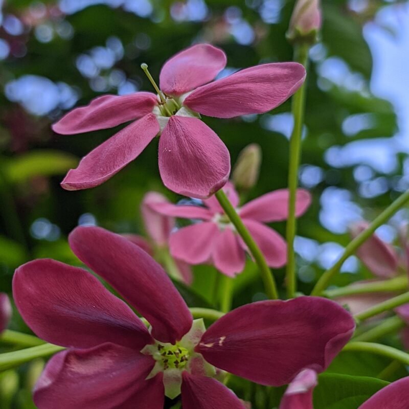 Imagen relacionada con LO MAS BUSCADO: Sanación con códigos sagrados: Los números que reescriben tu realidad