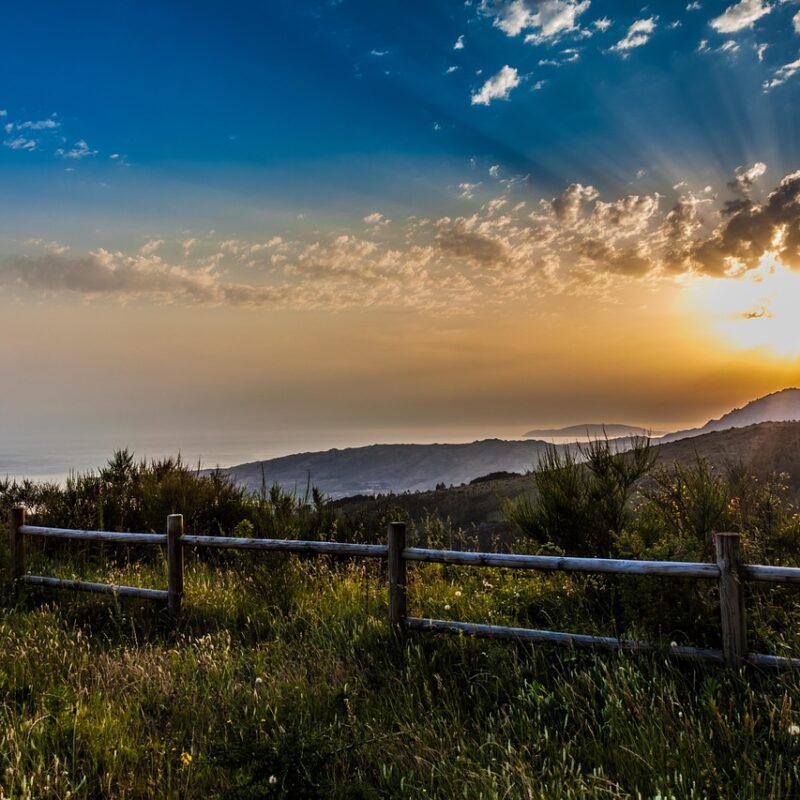 Imagen relacionada con ¿Qué código usar para fortalecer la mente? Descubre el número 1297