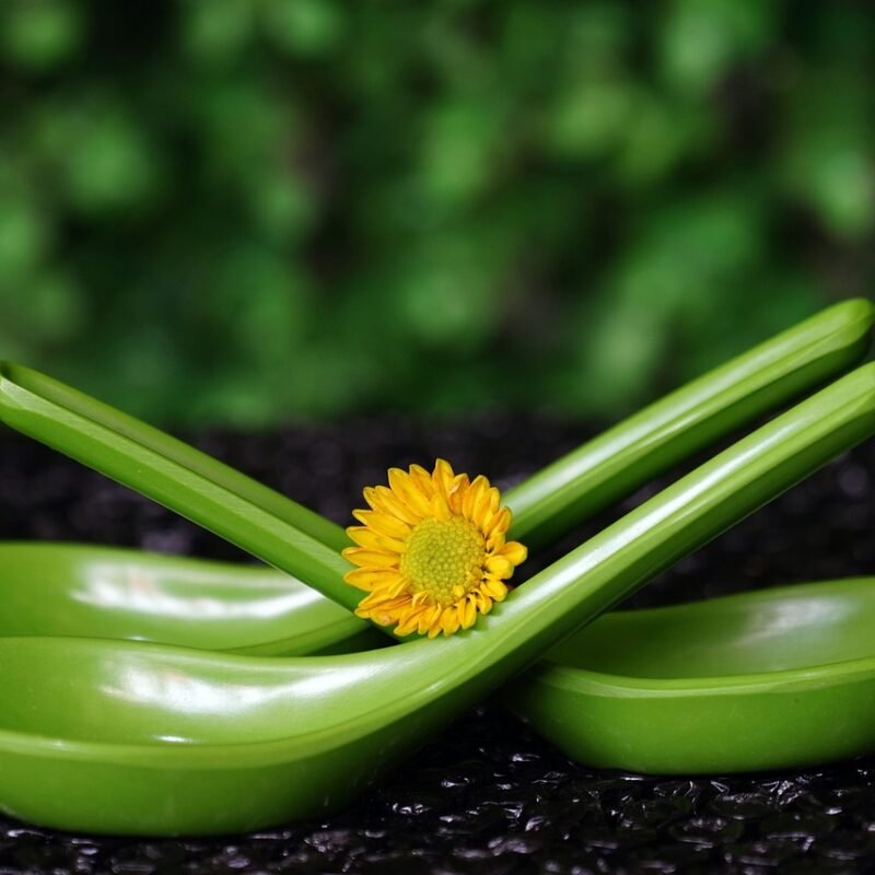 Imagen relacionada con Qué es el "Spoon Theory" o Teoría de las Cucharas y Cómo Te Ayuda a Manejar tu Energía