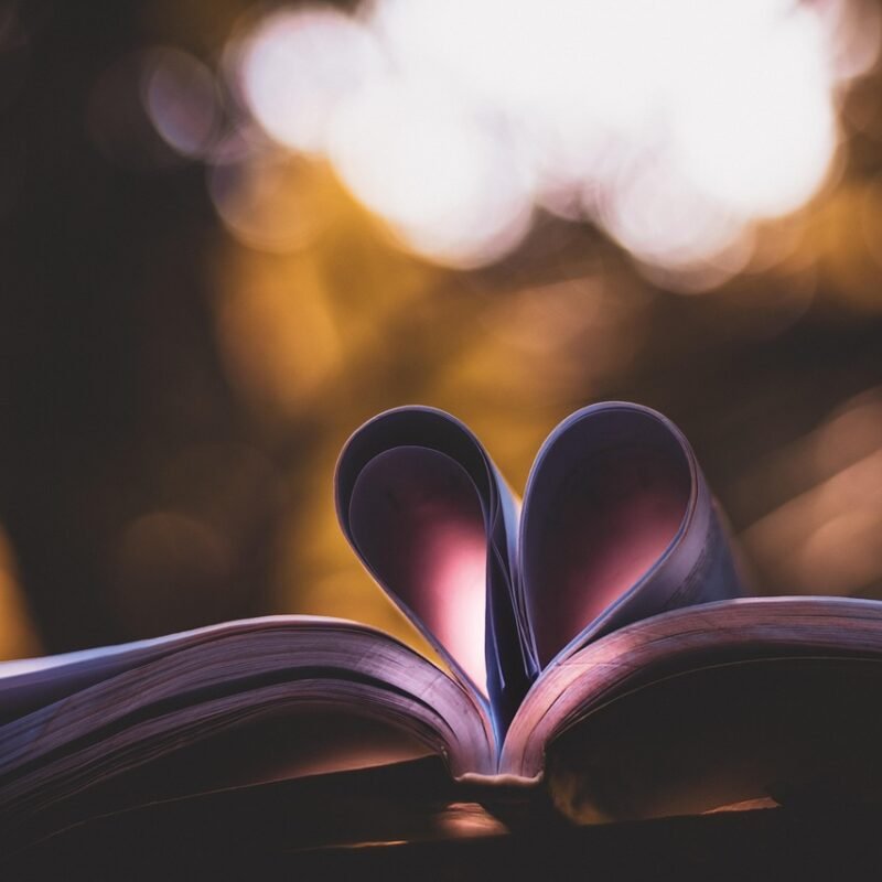 Imagen relacionada con TRANSFORMA TUS MIEDOS EN VALOR, ATRAE ABUNDANCIA A TU VIDA