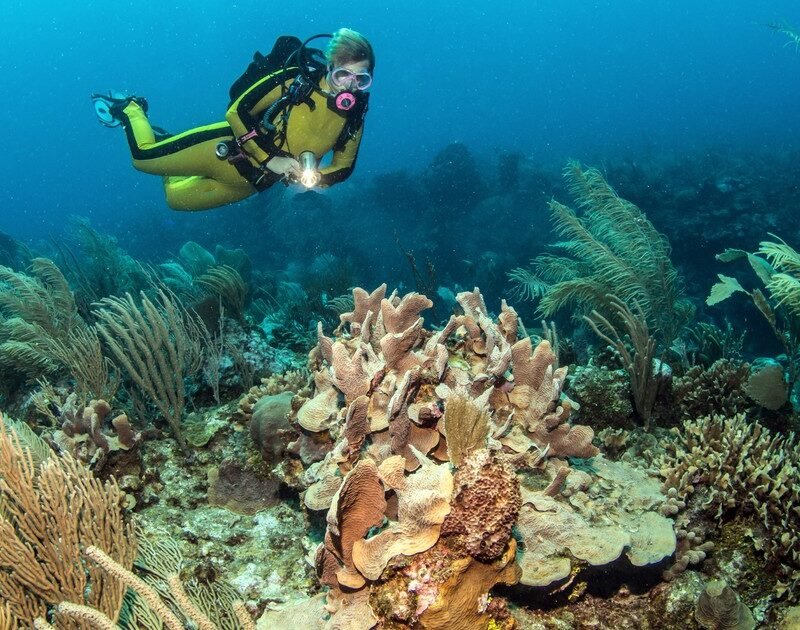 2IXeoLQJP 1200x630 1