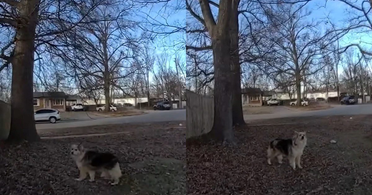 VN5KlFDBp 1200x630 1