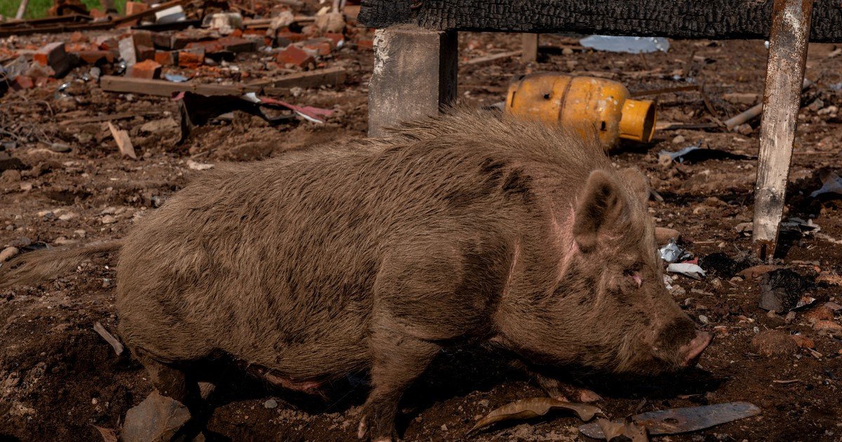 Em2jssc51 1200x630 1