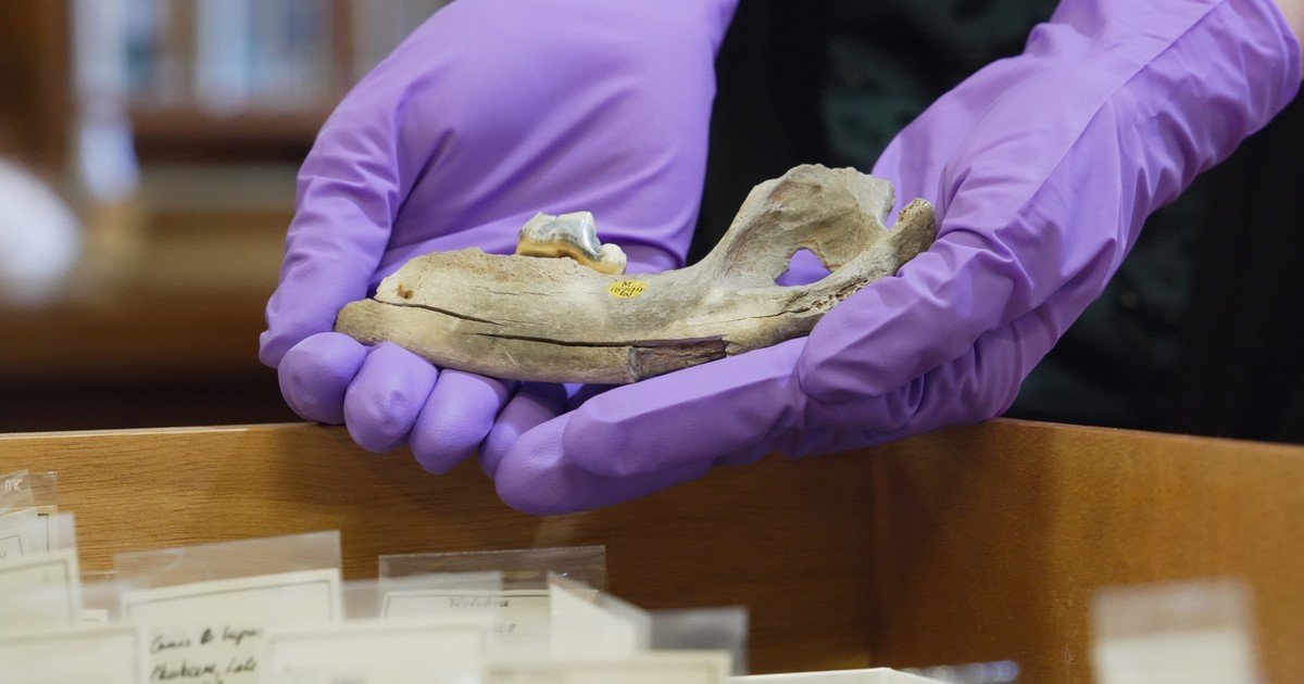 JRKdySWG1 1200x630 1