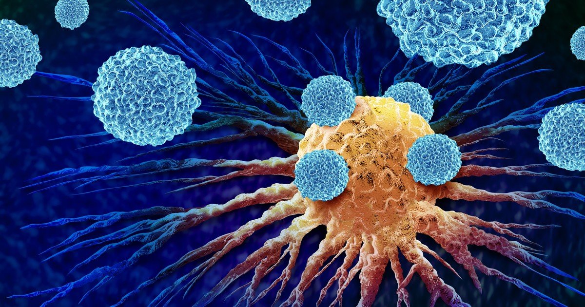 XB0vCqHCF 1200x630 1