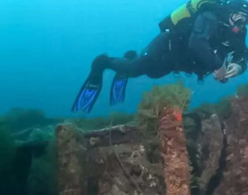 cB3LVXo8o 1200x630 1