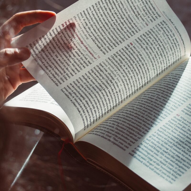 Imagen relacionada con CODIGOS SAGRADOS DE AGESTA, 2026