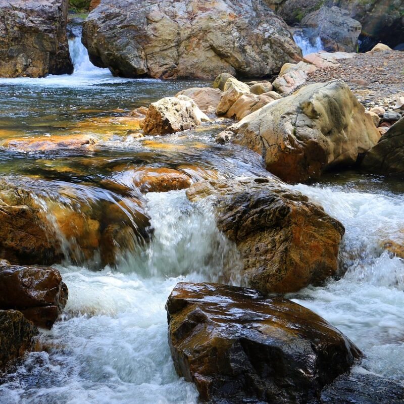 Imagen relacionada con Se rumorea que la Elite va por el AGUA, DOLOR DE ESTÓMAGO